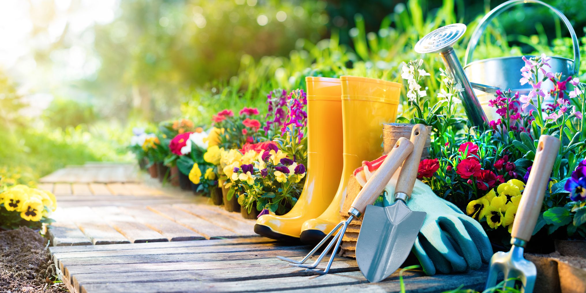 How to Maintain Your Garden