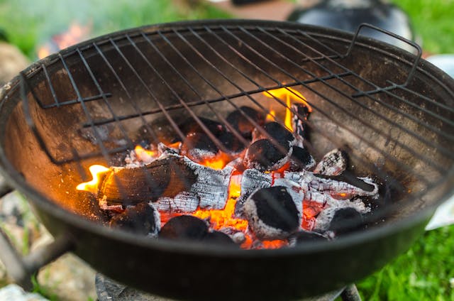 Pizza Ovens and Bird Feeders: Flavor Meets Nature in the Garden